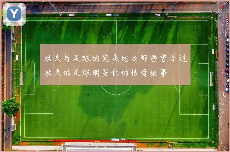 功夫与足球的完美结合那些曾学过功夫的足球明星们的传奇故事