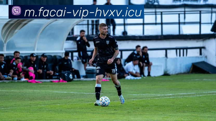 MK体育注册品牌故事